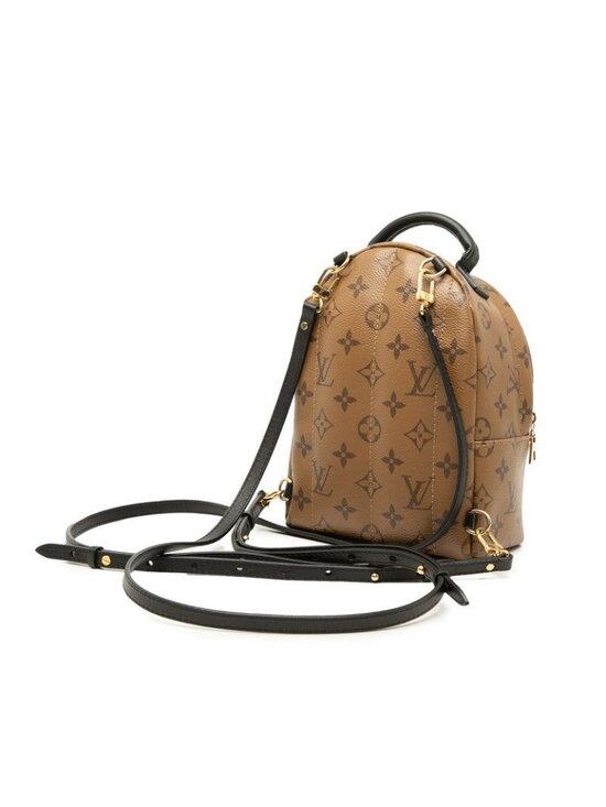 Louis Vuitton Monogram Reverse Palm Springs Backpack Mini Brown Black Leather